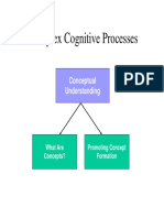 Complex Cognitive Processes: Conceptual Understanding
