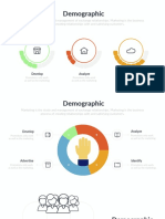 Demographic Infographic 06