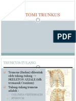 Anatomi Trunkus Manusia