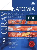 Gray Anatomia t2