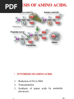 Amino Acid Synthesis