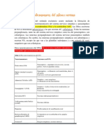 Neurotransmisores Del SNA 1