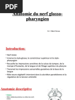 Anatomie du nerf glosso-pharyngien