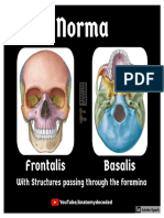 Skull - Norma Frontalis, Basalis AD Notes (Anatomy Decoded YouTube)