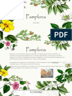 Alexandra Rico Diapositivas Escrito Municipio de Pamplona