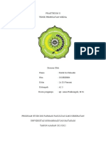 Laporan Resmi PRAKTIKUM II