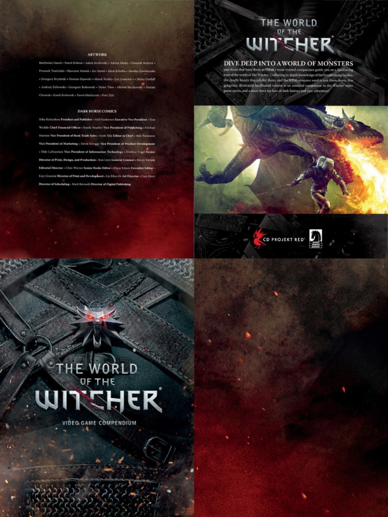 The World of the Witcher: Video Game Compendium