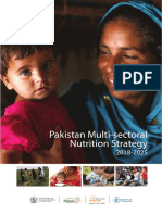Pakistan Multi-Sectoral Nutrition Strategy