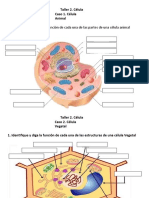 Taller Semana 4