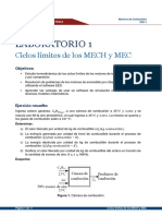 Ciclo Límites de Los MECH y MEC