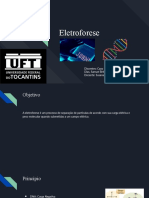 Eletroforese _BIOCEL