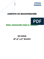 Carpeta de Recuperación Vii Ciclo