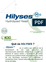 Hilyses Technical Español 2011