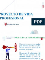 Sesión 15 - Proyecto de Vida Profesional