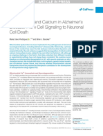 Mitochondria and Calcium in Alzheimer's Disease From Cell Signaling To Neuronal Cell Death