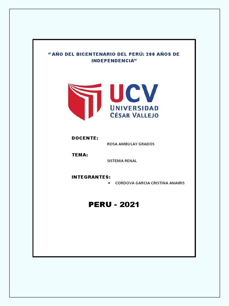 Filtración Glomerular y Sus Variables | PDF | Riñón | Edema