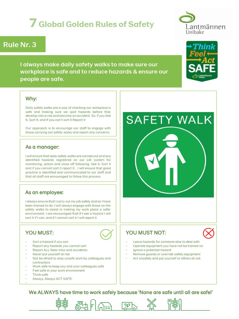 7 Global Golden Rules of Safety | PDF | Safety | Hazards