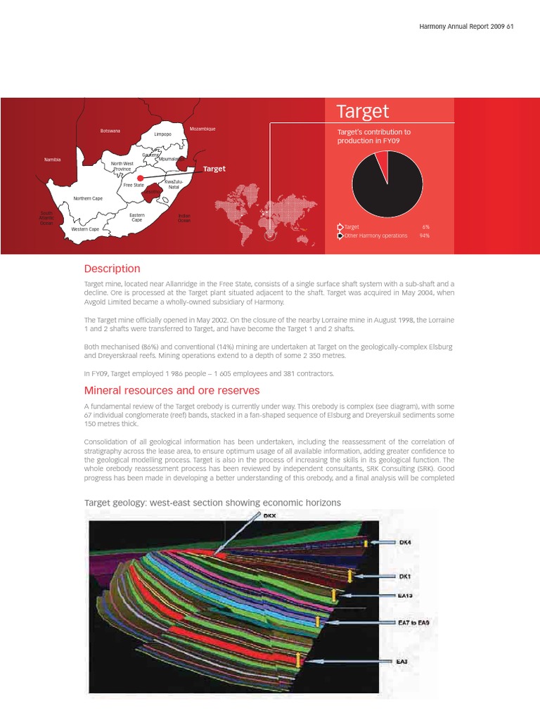 Target Mine Annual Report | PDF | Mining | Economies