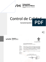 3.1 Elaboración y Caracterizacion Del Mapa de Procesos