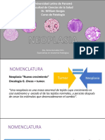 Clase3 Neoplasia