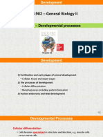 LIFS 1902 - General Biology II: Video 3 - Developmental Processes