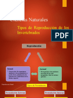 Tipos de Reproducción Invertebrados