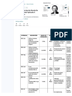 PDF Estandar Descripcion Banda de Operacion Vmax Aplicado A Restricciones - Compress