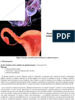 Patologia Sistemului Genital Feminin Și A Glandei Mamare.