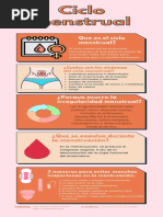 Ciclo Menstrual