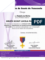 Medalla de Mérito en 1era Clase Grupo Scout Lucila Palacios