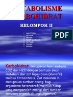 METABOLISME KARBOHIDRAT