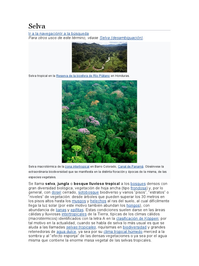 Selvatica | PDF | Selva | Zona tropical