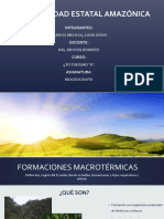 Formaciones Macrotermicas