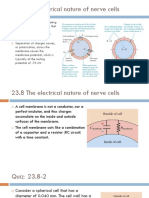 23.8 The Electrical Nature of Nerve Cells