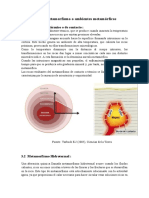 Tipo de Metamorfismo5