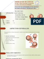 Guía de intervención de enfermería en pacientes con traumatismo encéfalo craneano (TEC