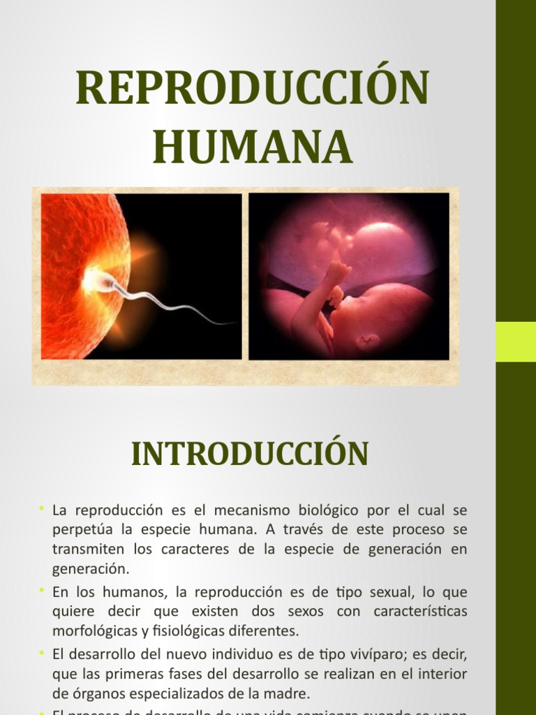 Reproducción En Imágenes De Seres Humanos