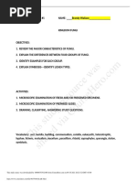 Diagnostic Ultrasound Report Templates | PDF | Ankle | Knee