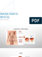 Perfil Bioquímico Renal