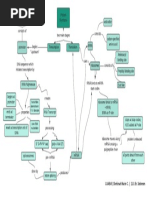 CONCEPT MAP (Central Dogma of Molecular Biology)