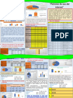 Triptico "Patrones de Uso Del Internet"