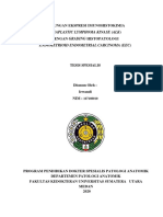 ALK EEC pdf-1