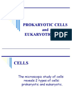 Prokaryotic Cells and Eukaryotic Cells