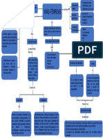 Vias Ferreas. Mapa Conceptual