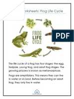 Primary Worksheets: Frog Life Cycle