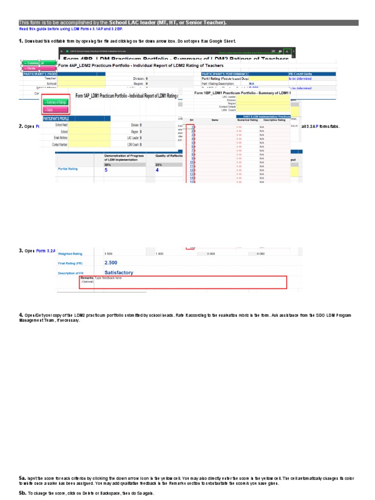 LDM Forms 3.1AP & 3.2BP User Guide | PDF | Computing | Business
