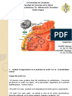 Ciclo de Krebs