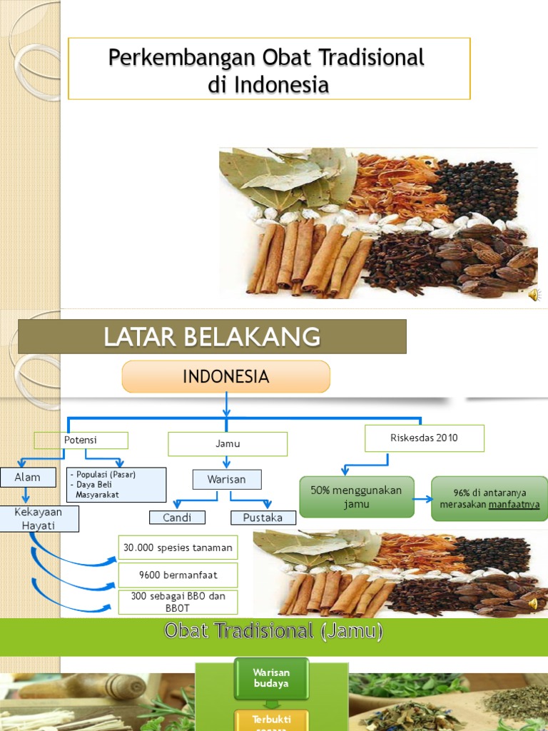 Obat Tradisional Di Indonesia Dikonversi PDF Kesehatan Holistik