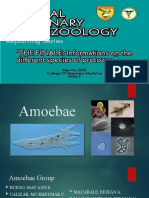 General Veterinary Protozoology Webinar Series