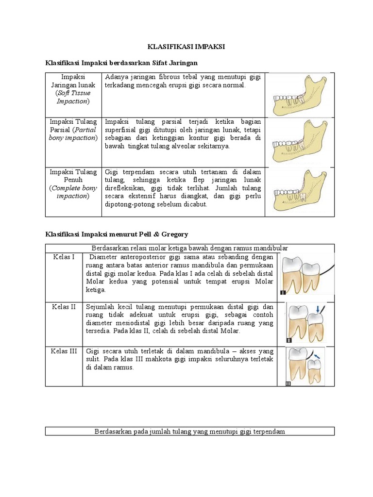 Klasifikasi Impaksi Gigi dan Kaninus | PDF